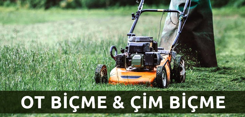 çim biçme istanbul ağaç budama