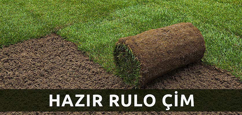 hazır rulo çim istanbul ağaç budama