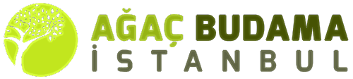 İstanbul Ağaç Budama