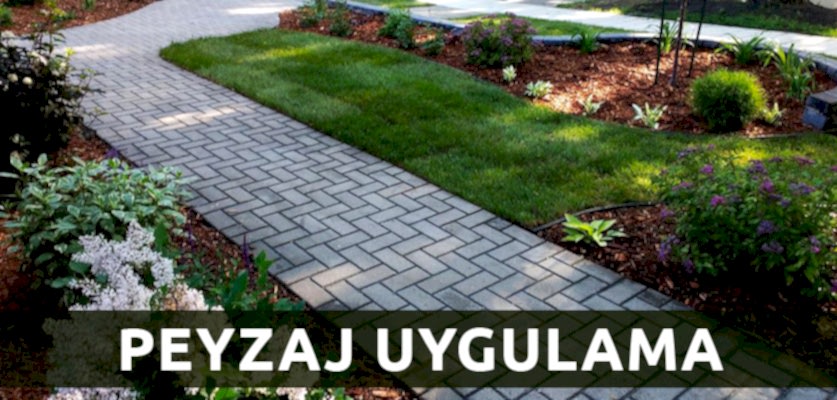 peyzaj uygulama istanbul ağaç budama