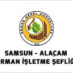 Samsun - Alaçam Orman İşletme Şefliği